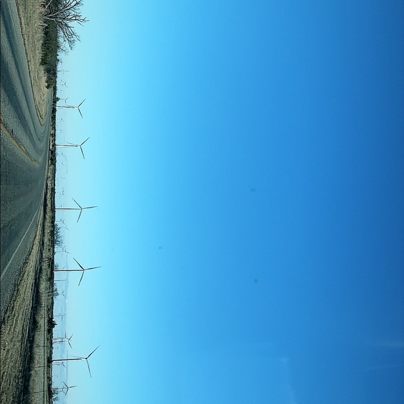 Meet your Posher, Amy - Picture 1 of 1